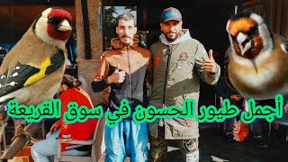 ✅أجمل طيور الحسون🐦في سوق القريعة🇲🇦يوم الاحد 8 دجنبر 2024🙏تحياتي لجميع المتابعين فرجة ممتعة❣️