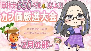 【あつ森】253時間目：目指せ650ベル以上！みんなでカブ厳選大会✨【2月の部】【初見さん歓迎🔰】