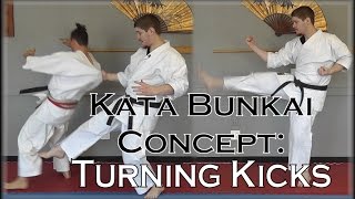 Waza Wednesday 12/28/16 - Bunkai Concept: Turning Kicks Turn Opponents