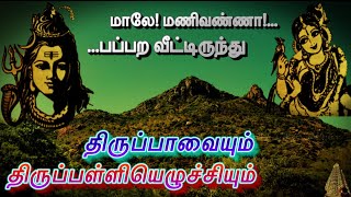 திருப்பாவையும் திருப்பள்ளியெழுச்சியும் l 26.மாலேமணிவண்ணா l 6.பப்பறவீட்டிருந்து l மார்கழி பாவை நோன்பு