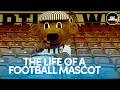 All You Need to Know about Dunfermline Athletic's Mascot Sammy the Tammy | A View from the Terrace