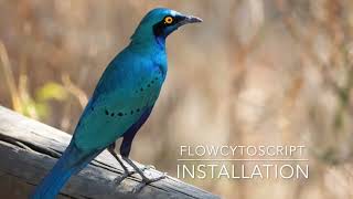 02 flowcytoscript installation