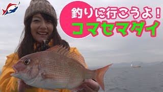 コマセマダイ釣りを初心者にもわかりやすく！【つりにいこうよ。】真鯛釣りの仕掛け、釣り方をご紹介！