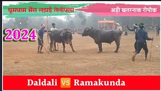 भैंस लड़ाई तेलोपाड़ा में ।। DALDALI 🆚 RAMAKUNDA ।। TELOPARA KARA ROPOK 2024 #kararopok #karalarai