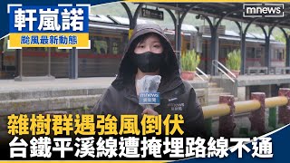 雜樹群遇強風倒伏　台鐵平溪線遭掩埋路線不通｜#鏡新聞