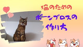 猫のためのボーンブロスの作り方