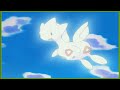Topegi de Misty evoluciona en Togetic | Pokemon Reto Máximo