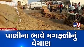 Rajkot : Rain ruined groundnut kept in Jasdan market yard, farmers allege no shed facility | Tv9News