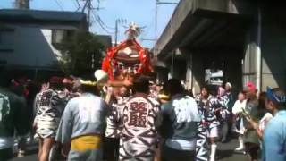 2012年鶴見中央神輿渡御②