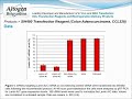 Altogen Biosystems SW480 Transfection Reagent