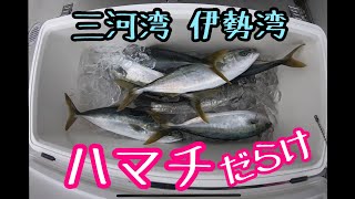 ジギング　三河湾　伊勢湾 ハマチ爆釣