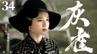 Bullfinch 34 | Chinese drama | Jingyi Zhang、Yueming Pan 、Haibo Huang