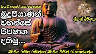 පියවි ඇසට නොපෙනෙන බුදුපියාණන් වහන්සේ ජිවමන දකිමු ... niwan margaya    |  meditation