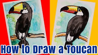 How to Draw a Toucan Kids Watercolor Tutorial