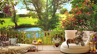 Summer Cozy Porch Ambience | Garden Ambience and  Bird Sounds for Relaxation