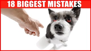 18 Common Mistakes Dog Owners Make