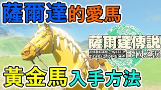 《薩爾達傳說 王國之淚》【TotK攻略】薩爾達的愛馬 黃金馬入手方法《ティアキン》《Tears of the Kingdom》