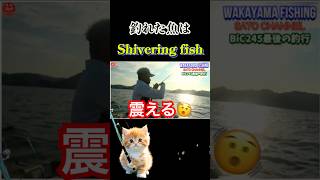 [2馬力ボート釣り]ぶるぶる震える魚が釣れる！？　＃short＃ミニボート＃2馬力＃アルミボート＃太平洋