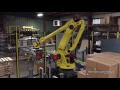 Multi-line Robotic Roll and Case Palletizer - Motion Controls Robotics