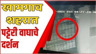 Khamgaon | खामगाव शहरातील मध्यवस्तीत वाघ दिसल्याने खळबळ