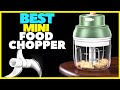 Top 5 Best Mini Food Chopper Review 2023 Electric And Manual