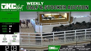 1/28/2025 -  OKC West Calf and Stocker Auction