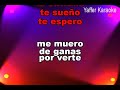 Miriam Hernandez   Tonto karaoke