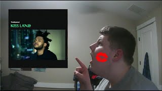 DillyBoy1k Reacts to 