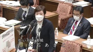 衆議院 2022年04月20日 内閣委員会 #10 大石あきこ（れいわ新選組）