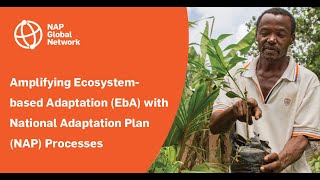 Amplifying Ecosystem-based Adaptation (EbA) with National Adaptation Plan (NAP) Processes
