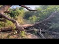 thol bird sanctuary gujarat ahmedabad to thol bird sanctuary thol lake