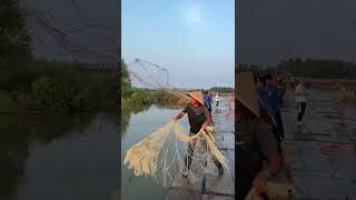 Best cast net fishing Catching big fish with cast  Net fishing