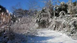 我家の初雪・田舎暮らし便り164号（蓼科より）.mov