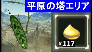 【コログのミの場所　平原の塔エリア　全117か所　中央ハイラル】 攻略 ゼルダの伝説 ブレスオブザワイルド  \