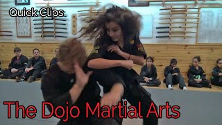 The Dojo Martial Arts Quick Clips -  January Randori and Youth Technique Demos