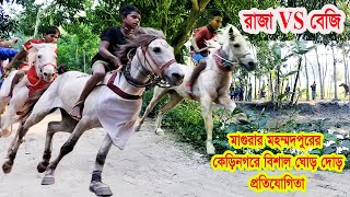 ঘোড় দৌড় || মাগুরার মহম্মদপুরের কেড়িনগরে বিশাল ঘোড়া দৌড় প্রতিযোগিতা || ঘোড়া দাবড় - Horse racing