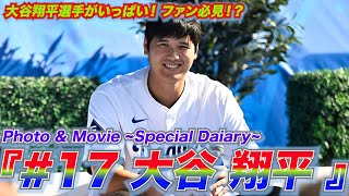 大谷翔平選手がいっぱい！ファン必見！Photo&Movie『大谷翔平 -special diary-』