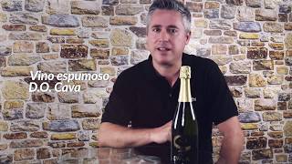 Vino espumoso D.O. CAVA | Cava Cañalva | Maridaje.