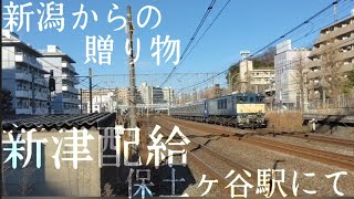 新津配給 EF64-1031+235 新車を引いて越後石山から大船へ 保土ヶ谷駅