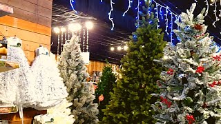 Vlogmas 2021| Day 2 at The Range \u0026 Summerhill Garden Centre