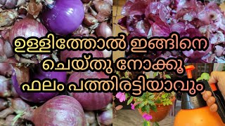 Onion peel for plants in three methods / ഉള്ളിത്തോൽകളയല്ലേ ഉഗ്രൻ വളമുണ്ടാക്കാം