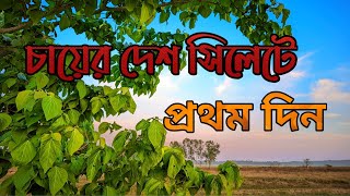 সিলেটে প্রথম দিন ,সিলেটের মানুষেরা অবশ্যই দেখবেন