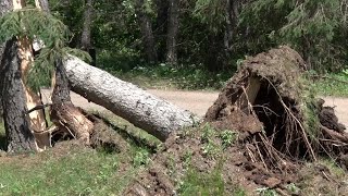 Thousands Without Power as Severe Storms Push Through Brainerd Lakes Area