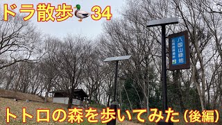 ドラ散歩🦆24の②〜トトロの森、都立八国山緑地後編