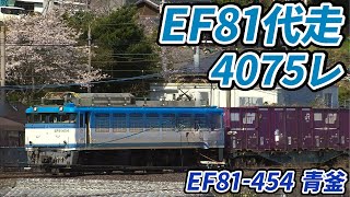 【4K】【EF81代走】JR貨物EF81-450番台後期型”EF81-454”牽引4075レ 日豊本線東別府駅～西大分駅間 走行シーン