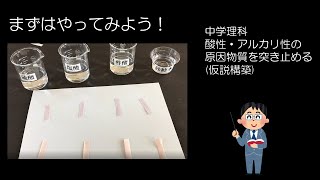 中３理科　酸・アルカリとイオン②　酸性・アルカリ性の正体（仮説構築）