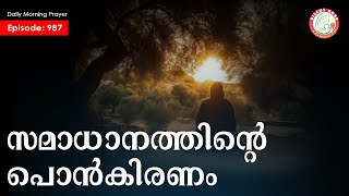 സമാധാനത്തിന്റെ പൊൻകിരണം #morningreflection