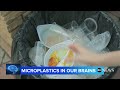 new study looks at microplastics in our brains