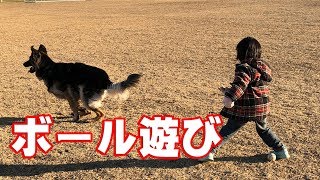 大型犬 ジャーマンシェパード犬 子供と遊ぶ German Shepherd Dog