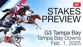 Grade 3 Tampa Bay Stakes | February 1, 2025